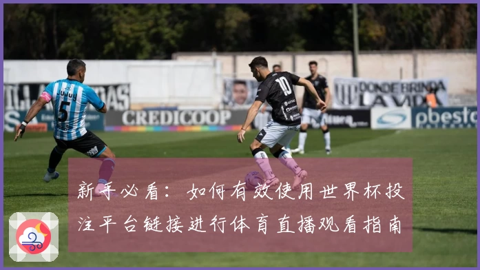 新手必看：如何有效使用世界杯投注平台链接进行体育直播观看指南