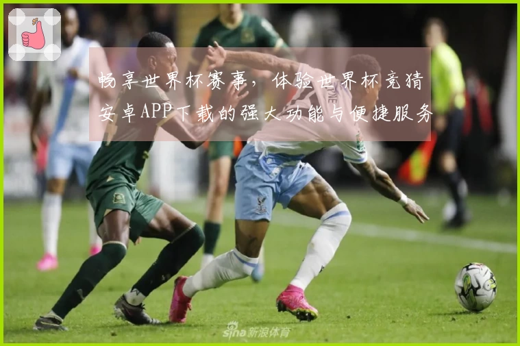 畅享世界杯赛事，体验世界杯竞猜安卓APP下载的强大功能与便捷服务